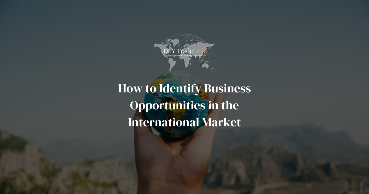 How to Identify Business Opportunities in the International Market