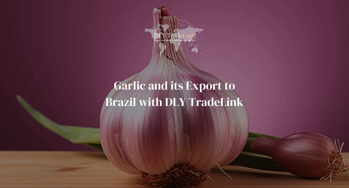 Garlic and its Export to Brazil with DLY TradeLink